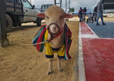 Orgullo Raranguense en Nuestra Feria Artesanal y Agropecuaria